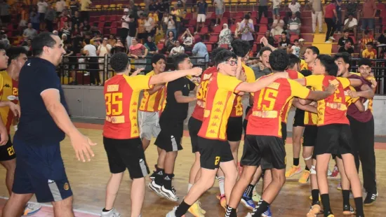 Handball-Champions